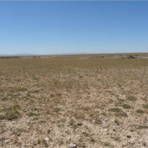 procházka mezi obruky