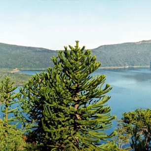 Pohled na jezero Conguillío při nástupu na stezku Sierra Nevada, Chile
