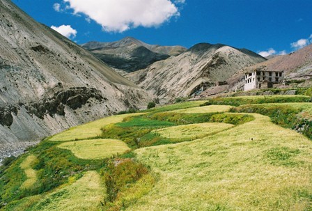 Markha Valley Trek