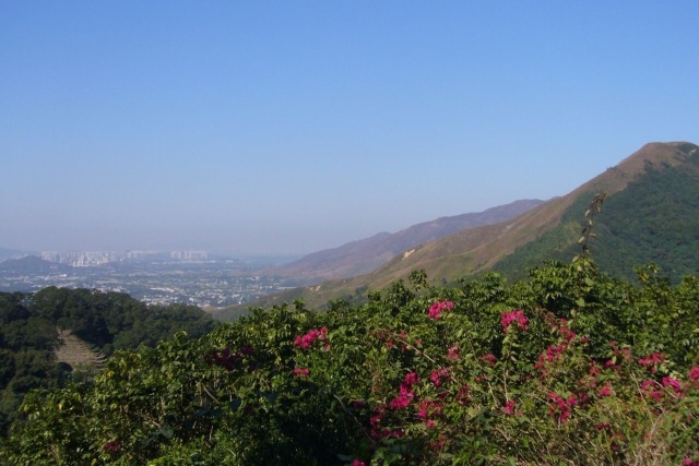 Trek Wilson Trail, Martin hájek