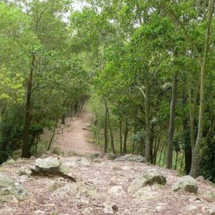 Trek Wilson Trail, Martin hájek