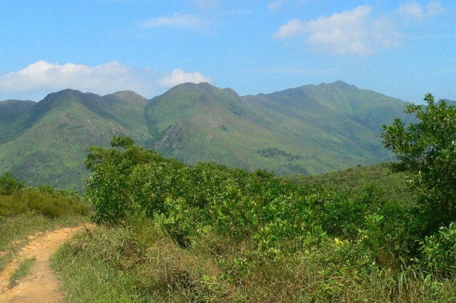 Trek Wilson Trail, Martin hájek