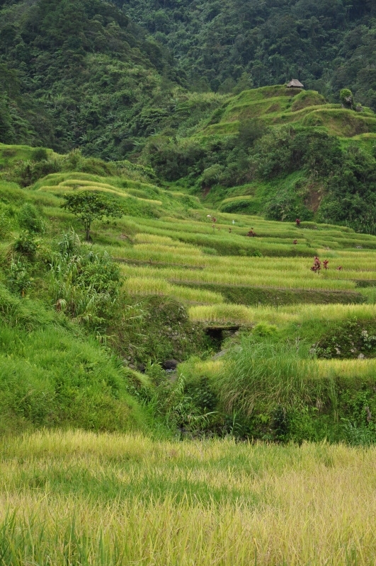 Trek Banaue, Martin Hájek