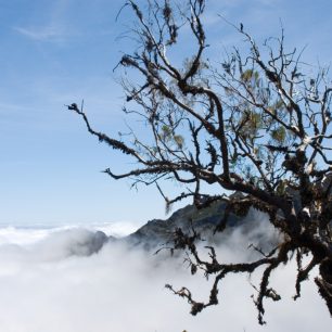 Nad mraky, Madeira, Portugalsko