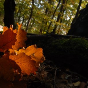Kozí vrch na podzim