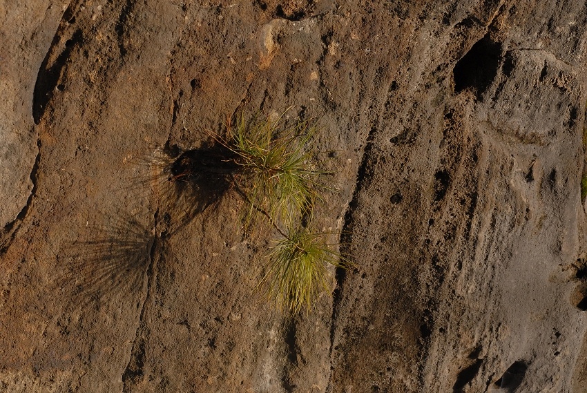 vejmutovka v pískovcích