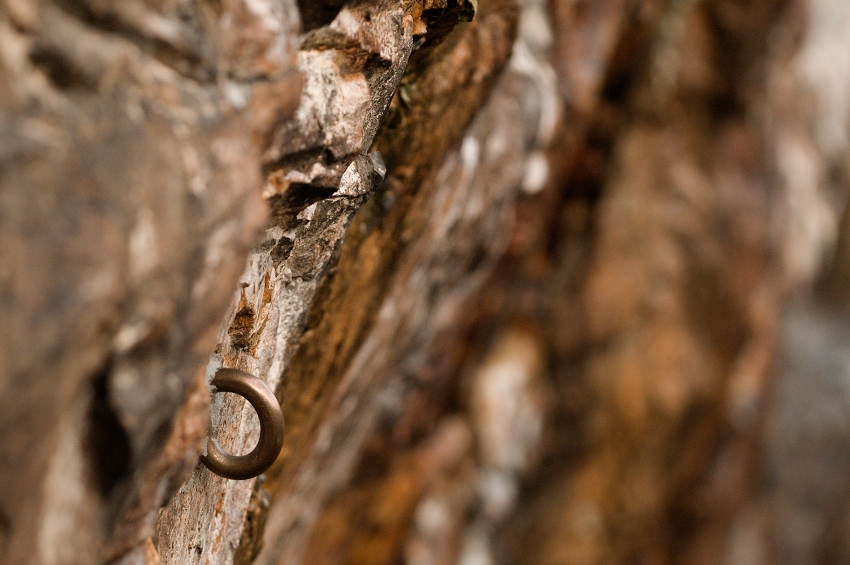 černolické skály, kruh