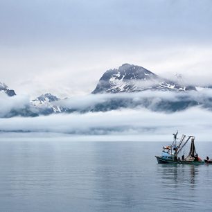 Strmými horami a ledovci uzavřený záliv Prince William Sound na Aljašce se většinu roku halí do deště a mlhy. 