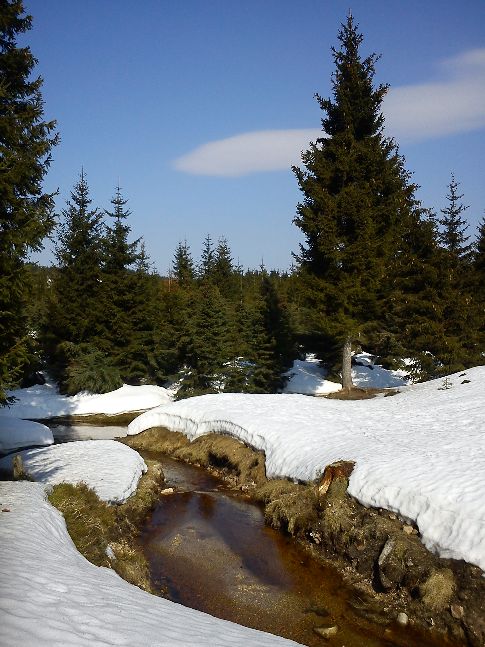 Jizerské hory, jaro Jizerské hory, jaro