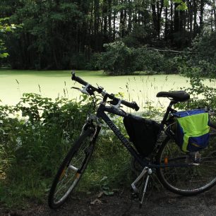 Jižní Čechy, Třeboňsko, po hrázích rybníků