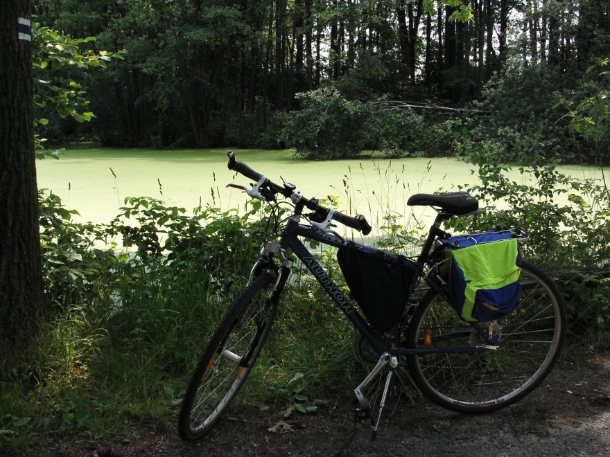 Jižní Čechy, Třeboňsko, po hrázích rybníků