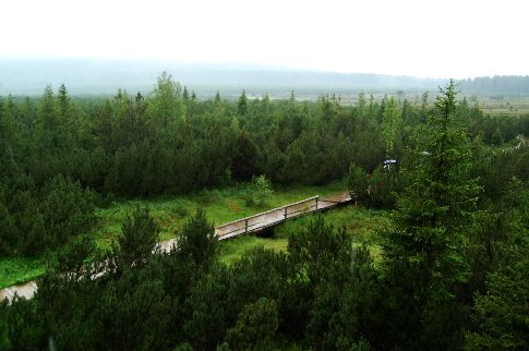 Šumava, Tříjezerní slať