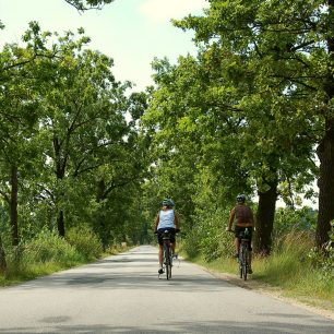 Jižní Čechy, Třeboňsko