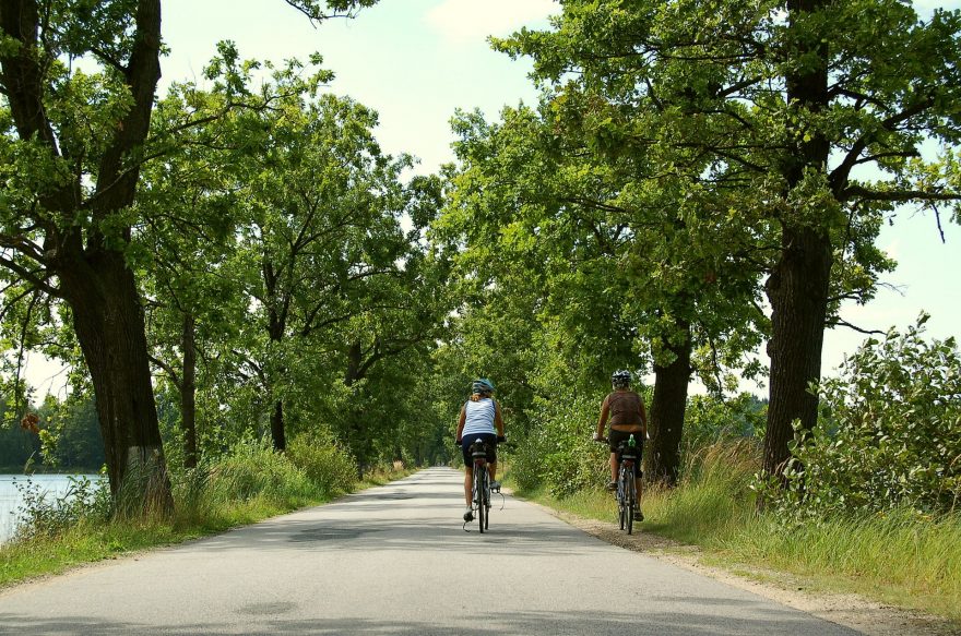 Jižní Čechy, Třeboňsko