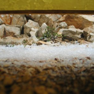 Kroupy, Ala daglari, Turecko