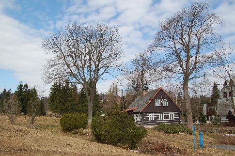 Jizerské hory, pod Vysokým hřebenem