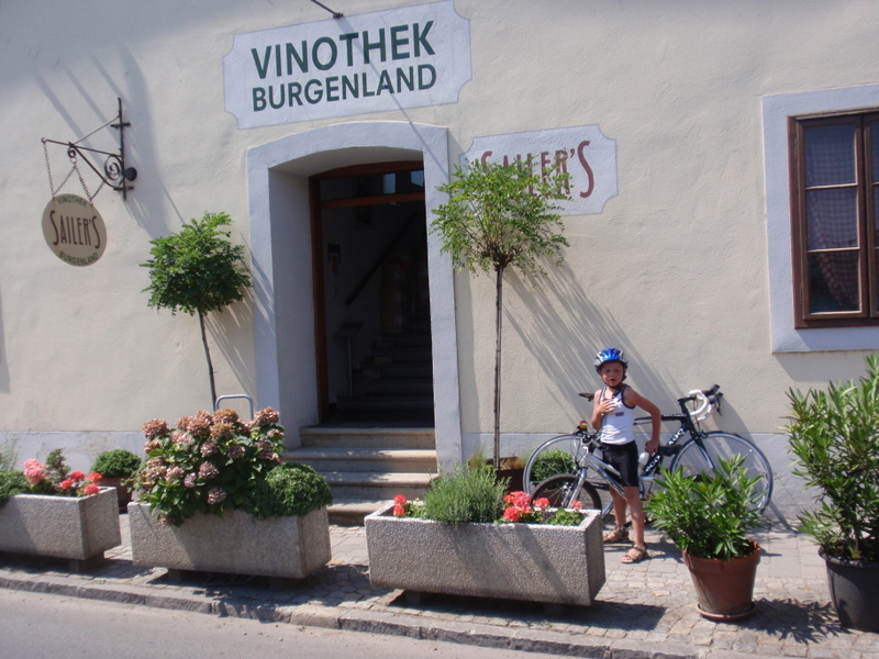 Dostatek vinných sklípků