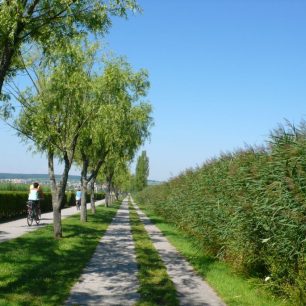 Profil trasy je plochý