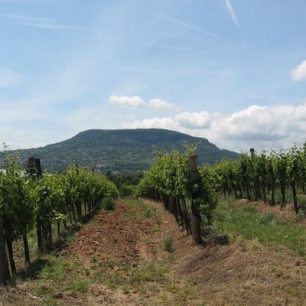 Krajem dobrého vína