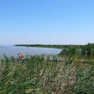 Ideální na koupání