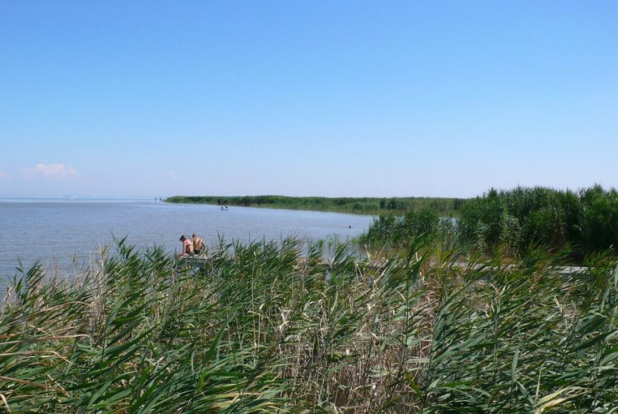 Ideální na koupání