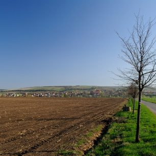 Mlebný jest pálavský kout