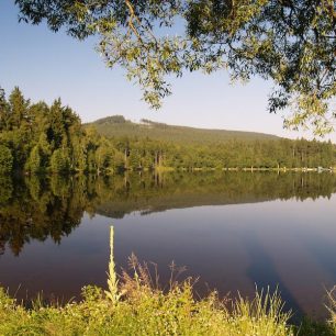 Ráno na Milovském rybníce