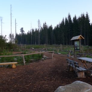 Nocoviště Pod Plešným jezerem