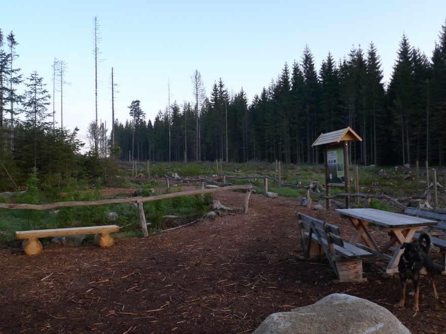 Nocoviště Pod Plešným jezerem