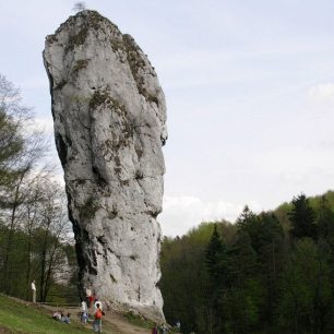 Herkulův kyj