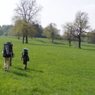 Nádherné louky ...