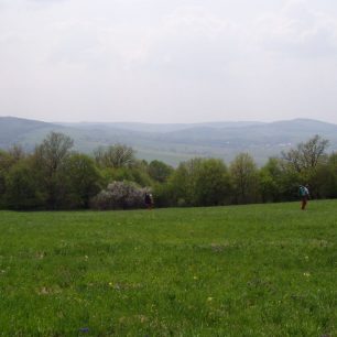 Trávy, louky, květy, ...