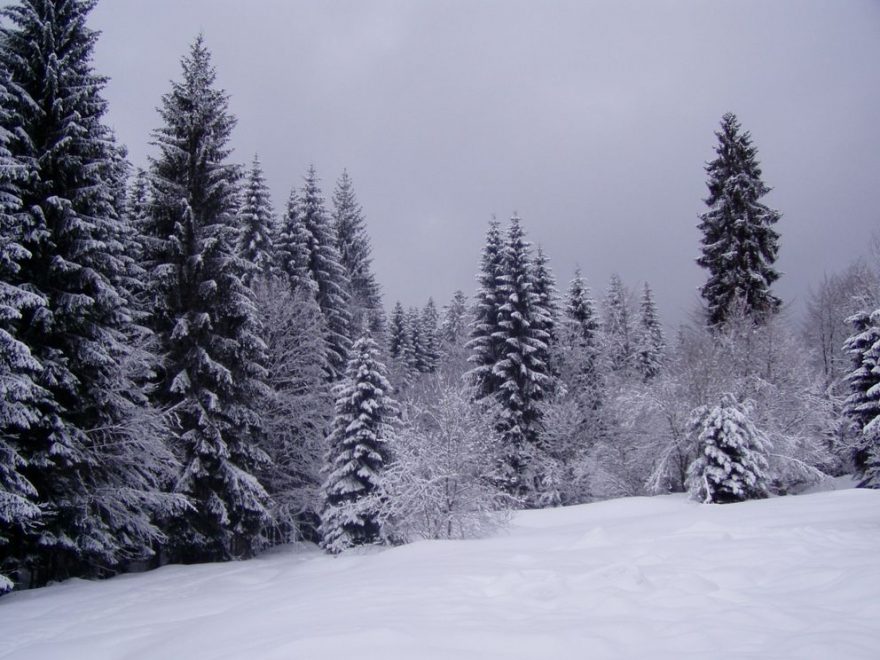 Když napadne, stojí to za to!