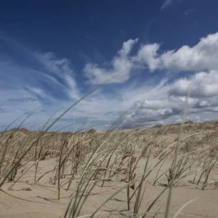 Nový Zéland - sen cestovatele!