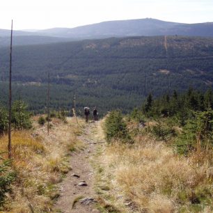 Nebeský žebřík 1