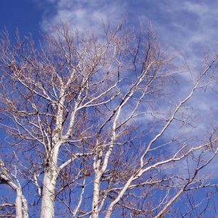 Když se počasí vyvede ...