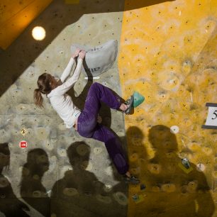 Lokálblok Monsters 2013