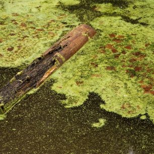 I to je Český ráj...