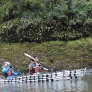 Pádlováním vpřed!