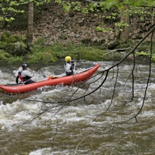 Orlice může být divoká