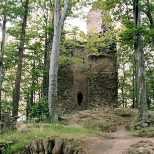 Zřícenina hradu Kaltenštejn