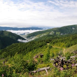 Hustá údolní hmla