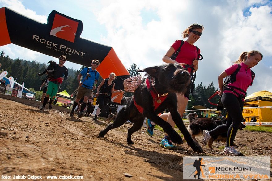 Start Dogtrekingu na Zadově