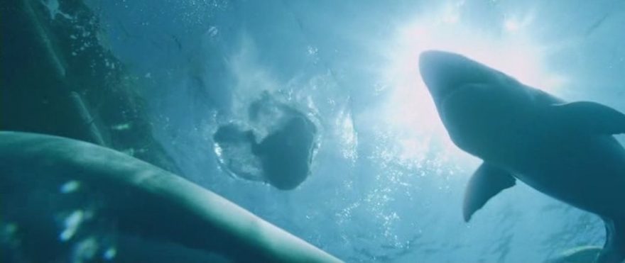 Na voru to není žádný med...