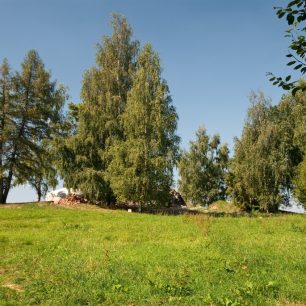 A další zarostlý ...