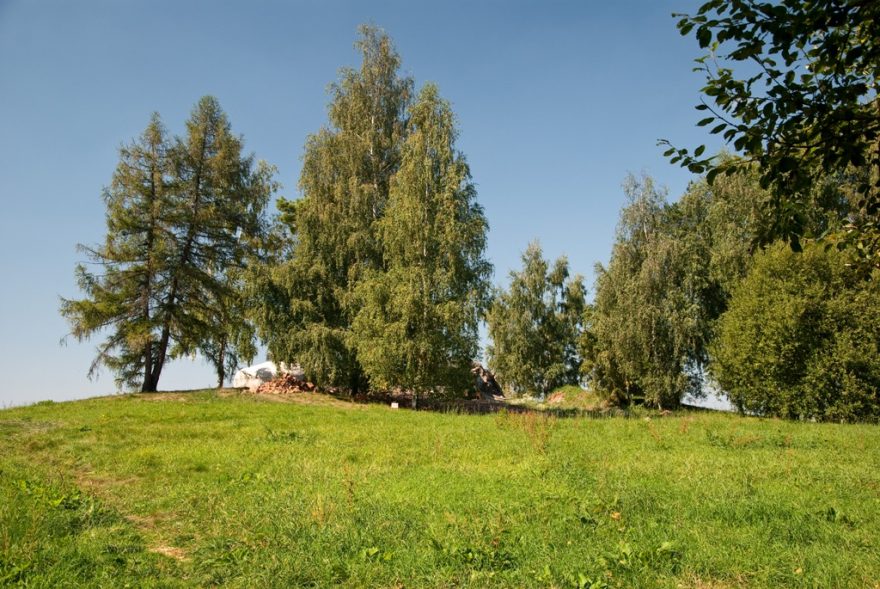 A další zarostlý ...