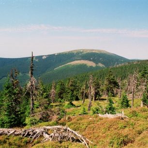 Králický Sněžník