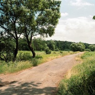 Cesta kolem lužních lesů.