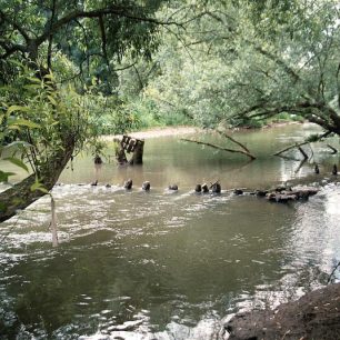 Řeka Morava u Obelisku