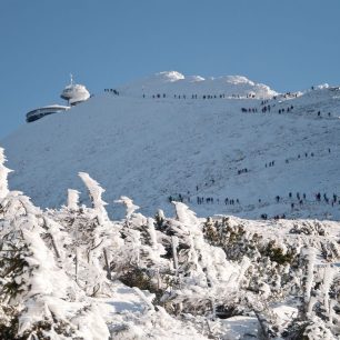 Mravenci stoupají na nejvyšší horu České republiky